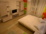 Click to see the full-size photos of this 1 room apartment for rent in Kiev, Ukraine